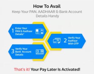 Flipkart Pay Later documents 